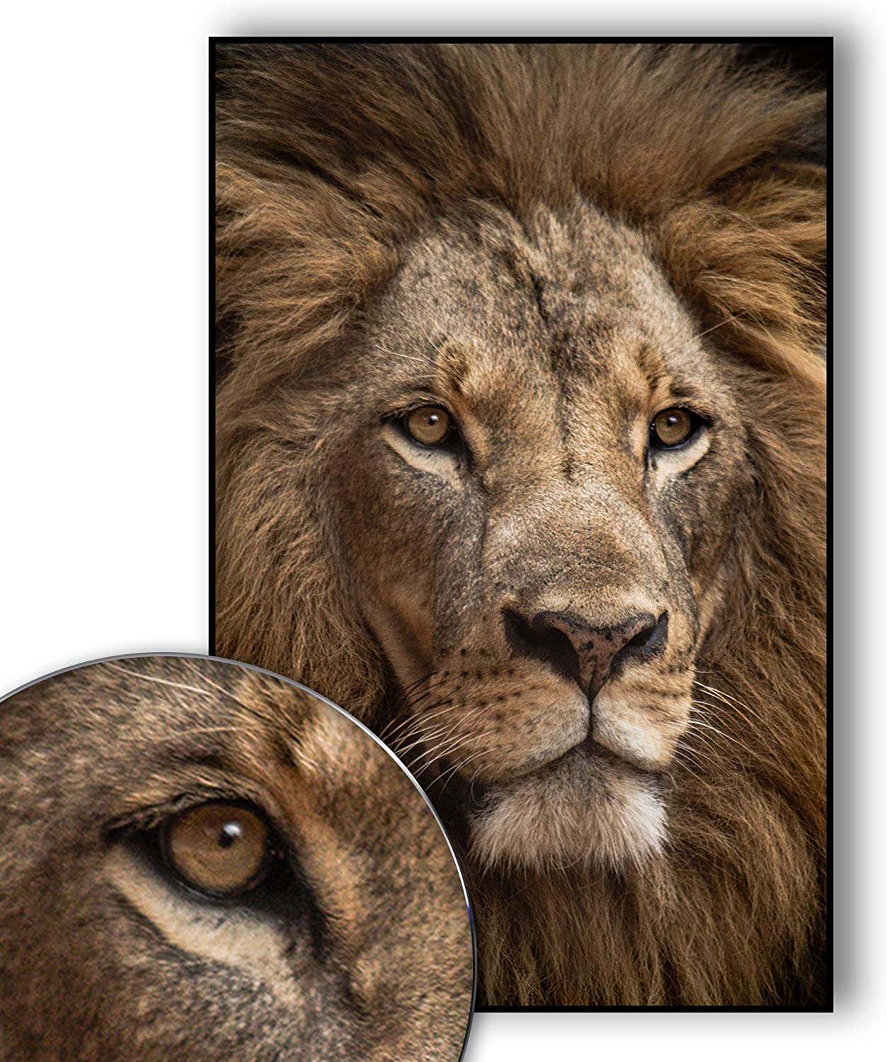 Golden Posters Foto Poster Löwe (70x50cm) Golden Posters Foto Poster Löwe (70x50cm)