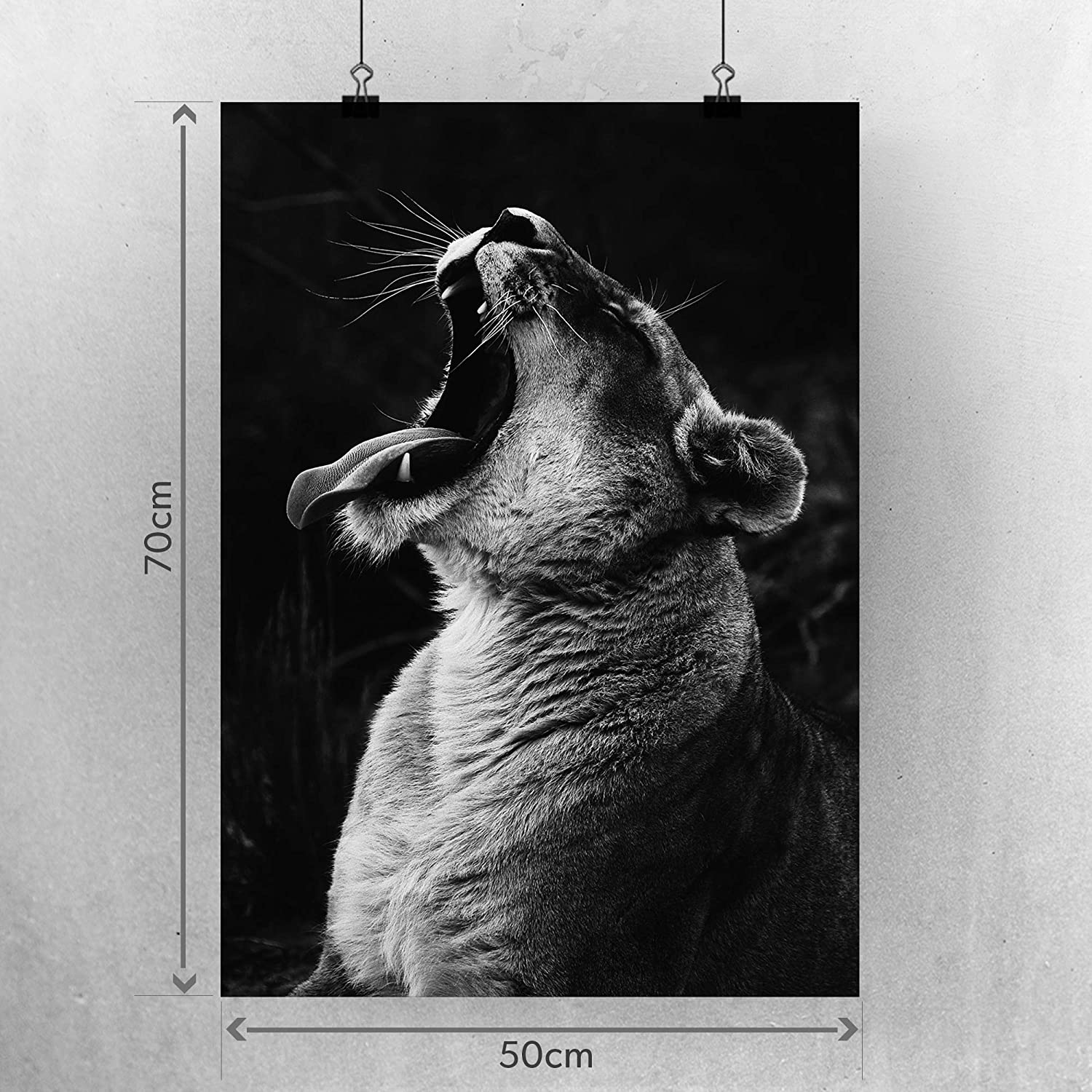 Golden Posters Foto Poster Löwin (70x50cm)