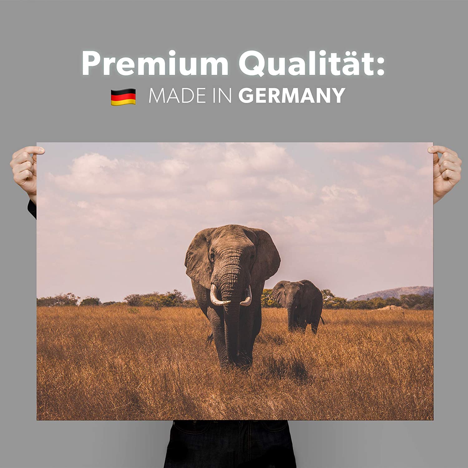Golden Posters Foto Poster Elefant (70x50cm)