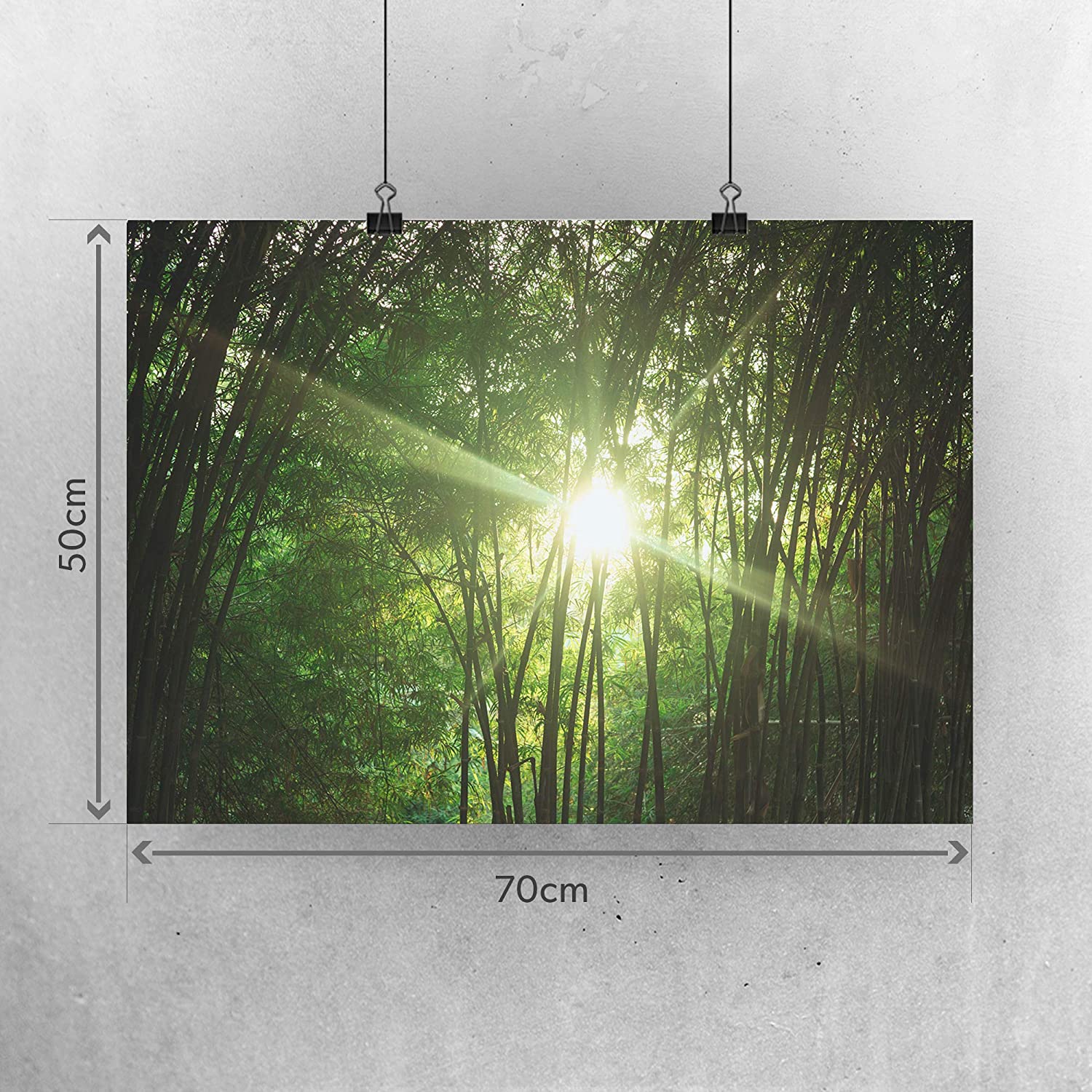 Golden Posters Foto Poster Wald (70x50cm)