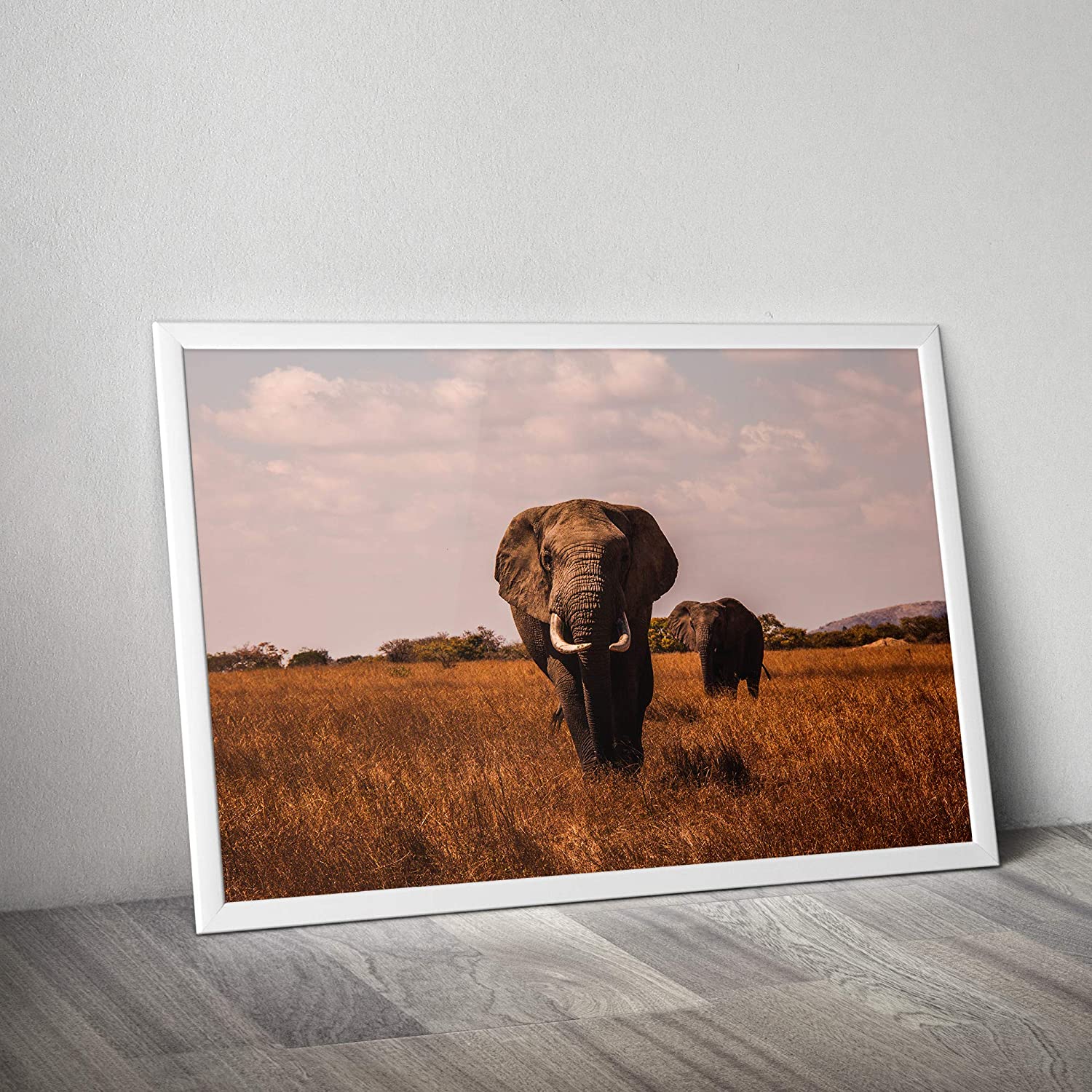 Golden Posters Foto Poster Elefant (70x50cm)