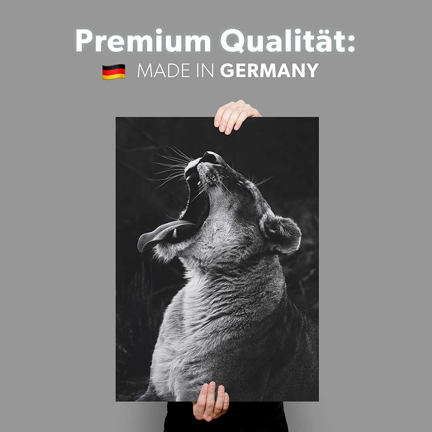 Golden Posters Foto Poster Löwin (70x50cm)