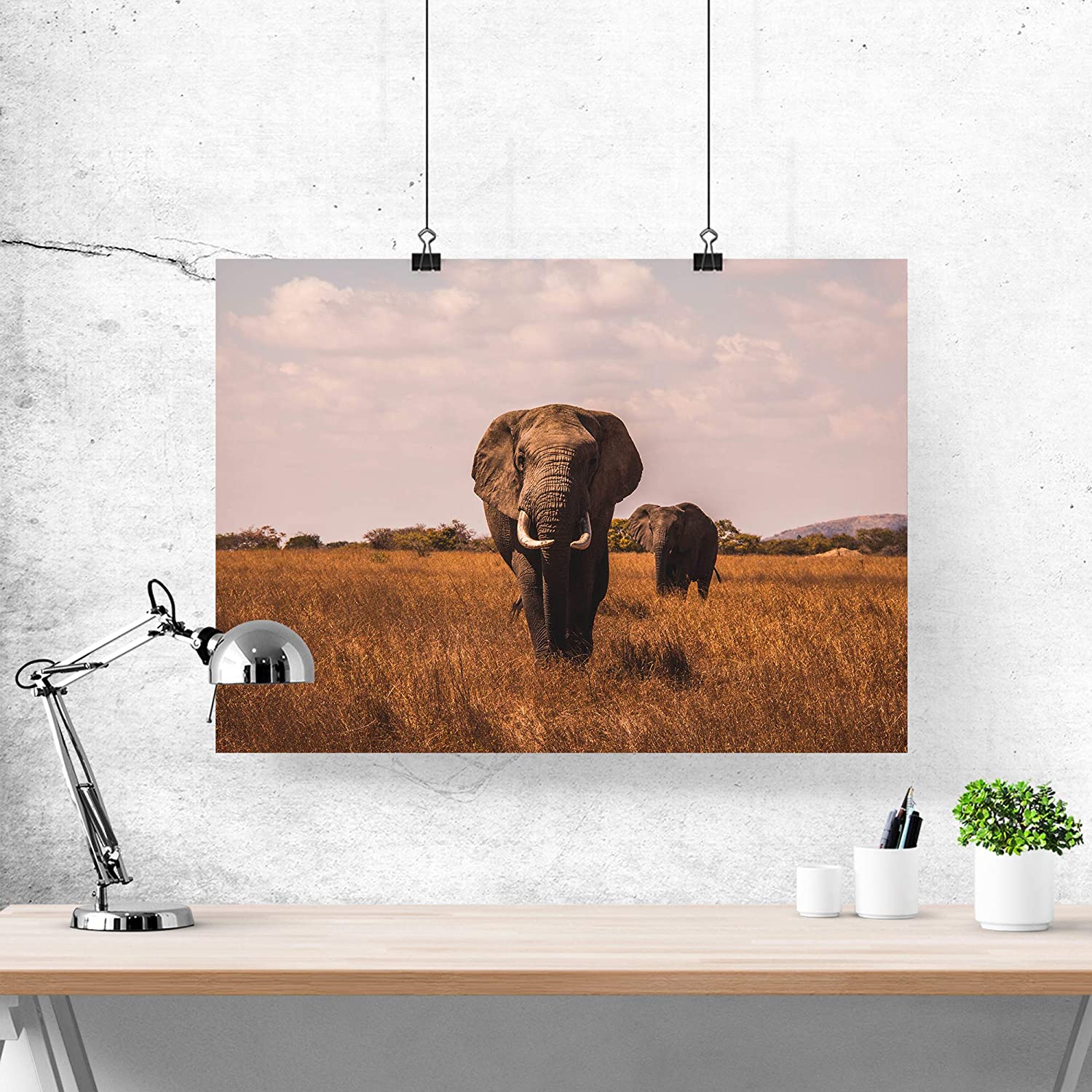 Golden Posters Foto Poster Elefant (70x50cm)