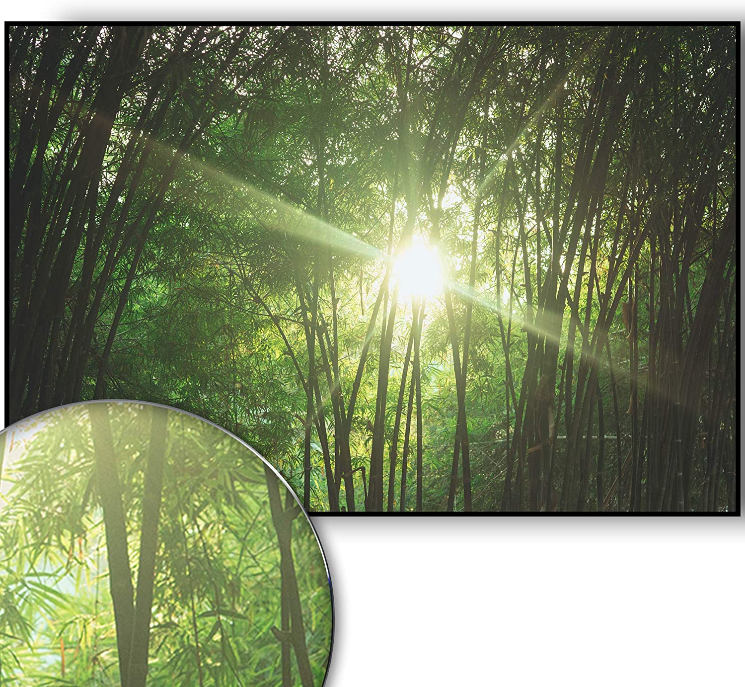 Golden Posters Foto Poster Wald (70x50cm)