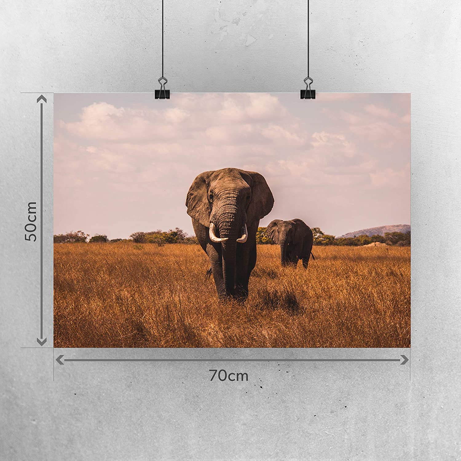 Golden Posters Foto Poster Elefant (70x50cm)